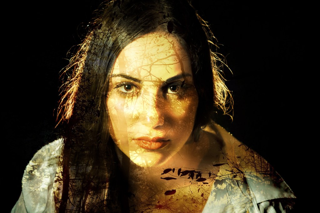 spring forest trail, green woods, sunlight through leaves